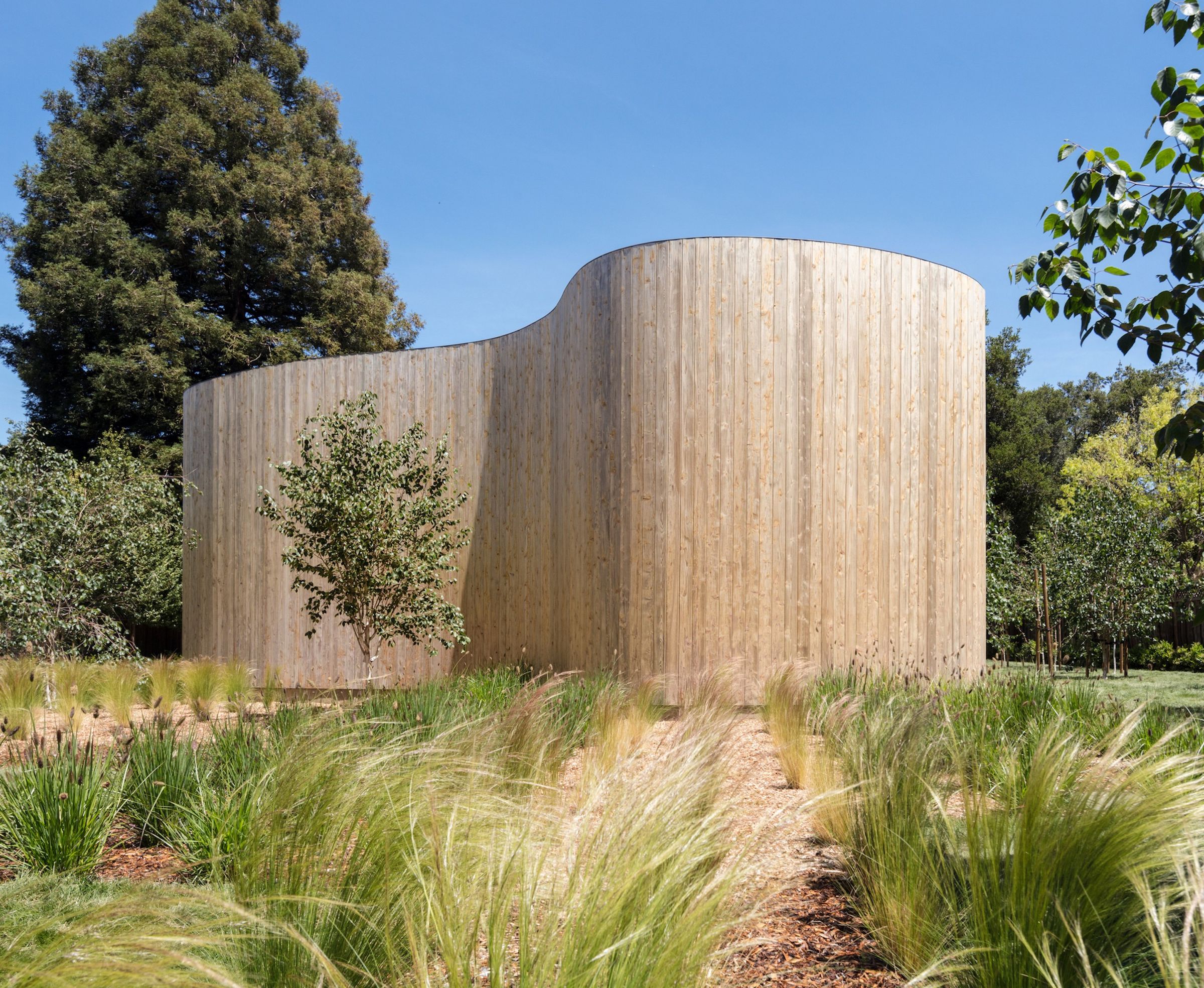 Roofless House, ანუ სახლი სახურავის გარეშე