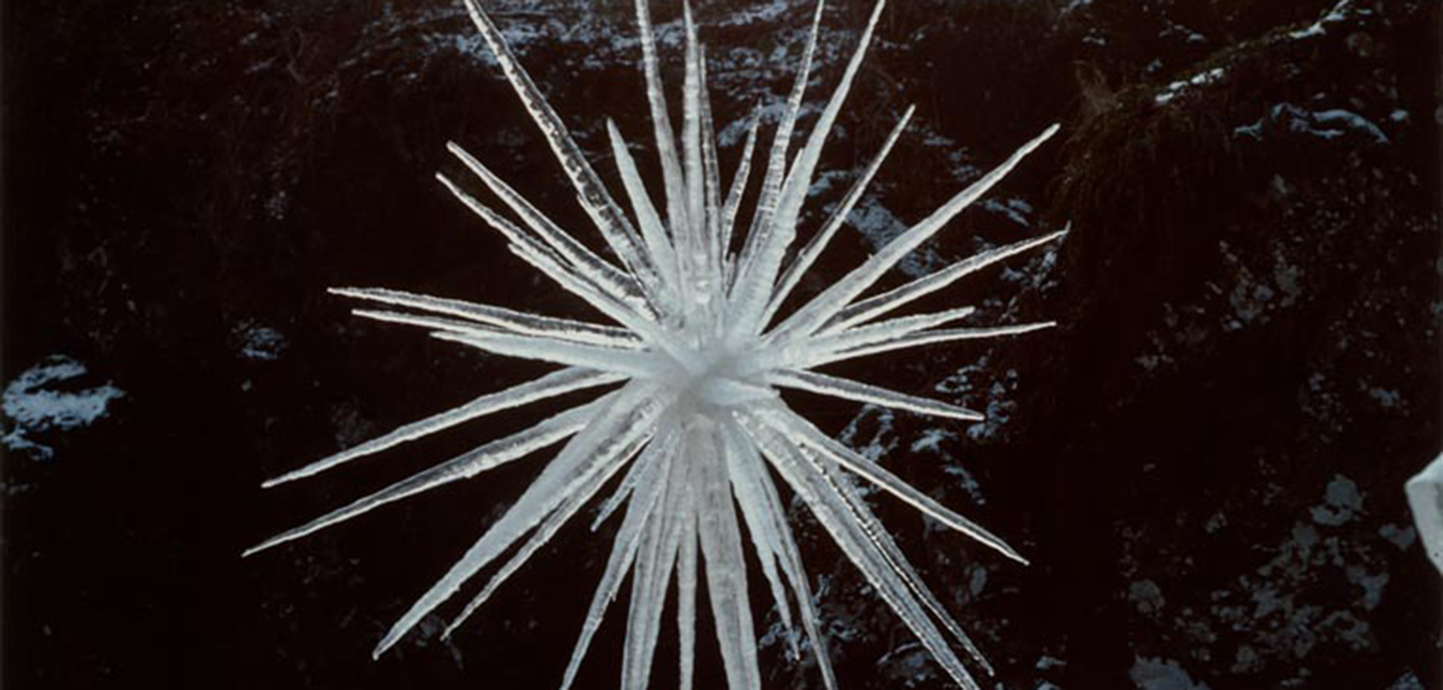 ენდი გოლდსვორთის Ice Star - ეფემერული ხელოვნების ნიმუში