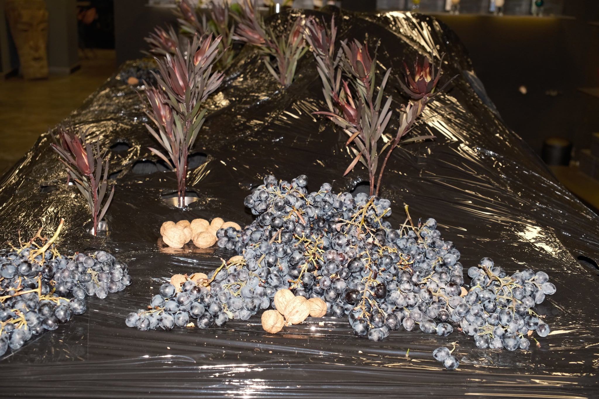 Seturi-ის ახალი კოლექციის ჩვენება Sauvage Concept Store-ში